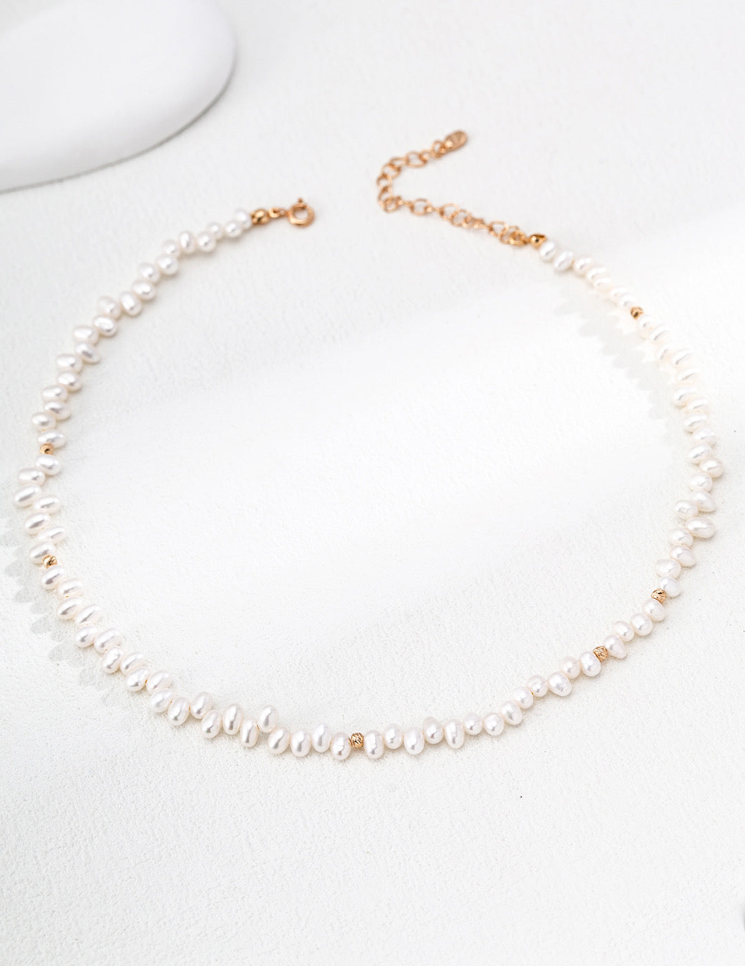 Petals of Quiet Light